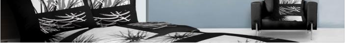 Baner