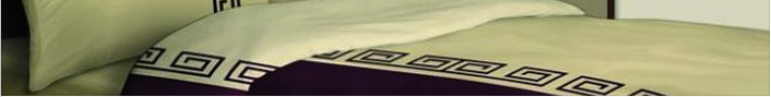 Baner