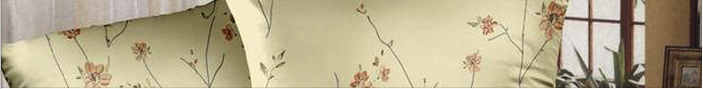 Baner
